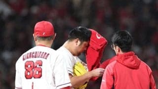 【横山竜士氏の眼】２球で２失点の広島・中崎は慎重にいくべきだった　交代の判断は間違いではない