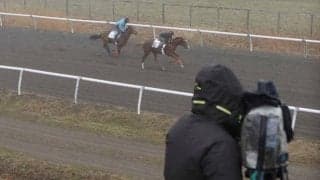 北海道市場トレーニングセール上場予定馬の調教VTR撮影を実施 せりは札幌競馬場で5月19日開催
