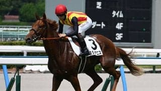 【桜花賞枠順確定】スターアニスは7枠15番、ドリームコアは7枠14番