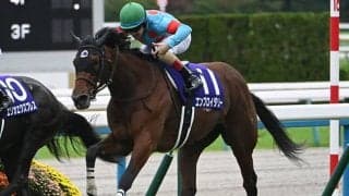 【阪神牝馬S出走馬・騎手確定】エンブロイダリー＆C.ルメール騎手、アスコリピチェーノ＆坂井瑠星騎手など10頭