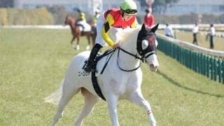 半兄はアオラキ 白毛のスノーエルヴァが初勝利なるか