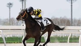 門別競馬場で開幕前最後の能力試験 アペリティーヴォが現2歳世代最速タイムを記録