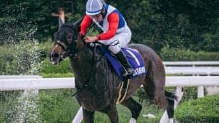 馬名話題のアーニャワクワク 中央復帰戦を迎える