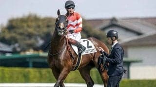 馬主は高須クリニックの高須克彌氏 タカスタカスタカスが今度こそ2勝目なるか