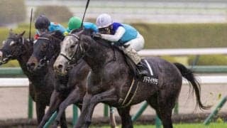 ドイツにも“阪神カップ”がある!? 「大阪-ハンブルクカップ」の由来を探ってみると