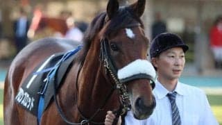 【明石特別】名牝アーモンドアイの初仔 アロンズロッドが確勝期す一戦だ