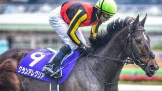 いとこは名牝グランアレグリア フライングビーナスがデビュー勝ち狙う