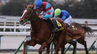 【競馬予想】識者選定の「３歳牝馬ランキング」　クラシックを目前にして新勢力の台頭はあったのか