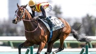 【ニュージーランドT枠順確定】ロデオドライブは4枠7番、ヒズマスターピースは3枠4番