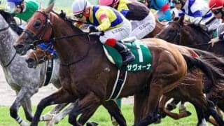 【福島民報杯】GIIで2着2回のサヴォーナ 1年5カ月ぶりの復帰戦だ