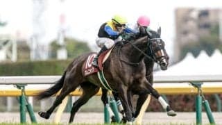 【阪神牝馬S予想】過去傾向や戦歴から人気でも信用ならず！ GI馬の好走を阻む消去法データ