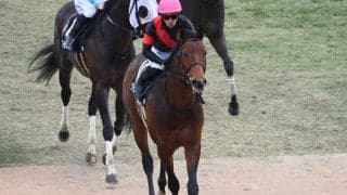 【アンタレスS想定馬・騎手】グランドプラージュ、サンデーファンデーなど20頭