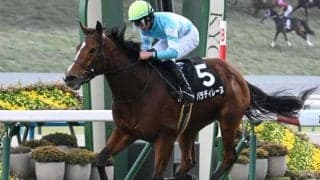 【福島牝馬S想定馬・騎手】パラディレーヌ、レーゼドラマなど17頭