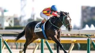 【ニュージーランドT予想】前走で見せた走りが割引材料!? 中山替わりで軽視したい人気の1頭