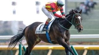【今日の注目ポイント】中山でニュージーランドTと阪神で阪神牝馬S