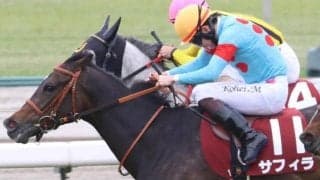 阪神牝馬Sはやや波乱傾向の一戦 押さえておきたい血統とは