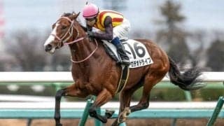 【ニュージーランドT予想】トリッキーな中山芝1600m コース実績を重視