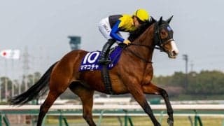 【東京スプリント】ママコチャなどJRA馬は5頭