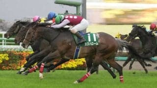 【ダービー卿CT】大激戦のゴール前！伏兵スズハロームの大外一気が炸裂