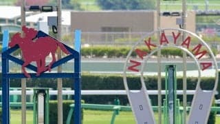 【中山7R】高須克弥院長所有・タカスタカスタカスが6馬身差圧勝