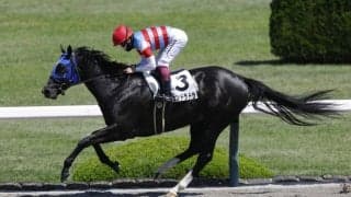 【阪神3R】単勝1.1倍ジュンドラドラが圧勝