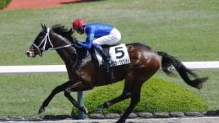 【阪神2R】ゼロヴィジビリティが5馬身差圧勝