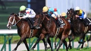 【大阪-ハンブルクC】断然人気ウィクトルウェルスがゴール寸前強襲