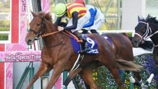 【今日の注目ポイント】牝馬三冠第一弾・桜花賞