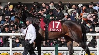 【競馬予想】人気２頭が中心視される桜花賞で、好配当をもたらす可能性がある伏兵２頭