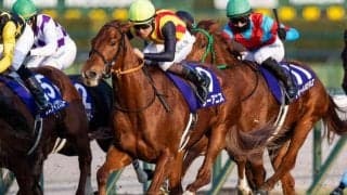 【桜花賞予想】狙うならば今年もこの5大要素で？ 過去データで探るGI桜花賞