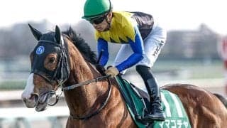 【大井・東京スプリント枠順】23年スプリンターズS覇者のママコチャは7枠13番、昨年のJBCスプリント勝ち馬ファーンヒルは5枠8番