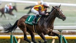 【桜花賞・馬体重】ドリームコアは502kg(±0)、スターアニスは480kg(+2)