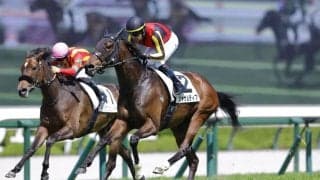【阪神7R】良血ジャサルディアが断然の支持に応える