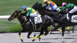 【阪神5R】8番人気の伏兵・リサシテーションが連勝