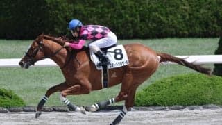 【阪神2R】スマートグロワールが人気に応える…3馬身半差完勝