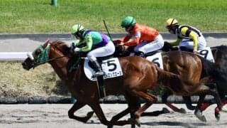 【中山6R】ヤマカツエース産駒・ストロングエースが2勝目