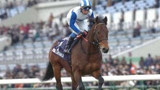 ロードカナロア産駒がJRA通算1300勝達成！ JRA史上12頭目