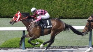 【川西特別】6番人気スマートカイロスが鮮やか逃げ切りV