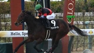 【アンタレスS】グランドプラージュ、サンデーファンデーなどが登録