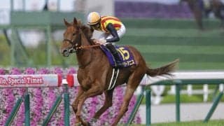 WIN5は1144万円超の払戻し…桜花賞はスターアニスが完勝