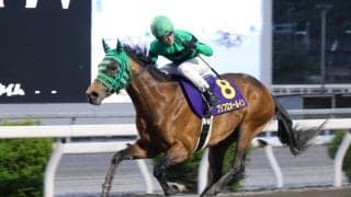 【高知・二十四万石賞】プリフロオールインが圧巻逃走V…4馬身差で連覇、完全復活