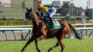 【東京スプリント】ママコチャは7枠13番