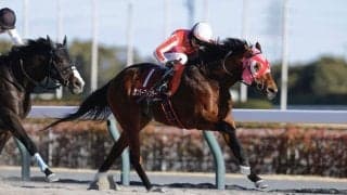 【アンタレスS登録馬】サンデーファンデーなど21頭