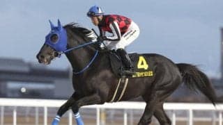 【大井・ブリリアントC枠順】横山武史騎手が騎乗するサントノーレは5枠9番 春の中距離SIII重賞