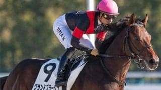 【アンタレスS想定騎手】グランドプラージュは川田将雅騎手、ブライアンセンスは岩田望来騎手