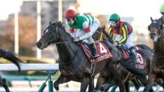 【先週のJRA抹消馬】重賞2勝を挙げたシュヴァリエローズ、一昨年のチューリップ賞を制したスウィープフィートなど
