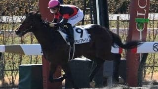 【アンタレスS展望】4歳馬グランドプラージュが勢いに乗って重賞制覇へ