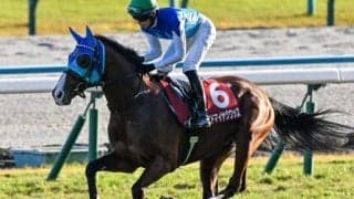 【皐月賞】アドマイヤ軍団が27年ぶりのクラシック制覇なるか デイリー杯2歳S覇者のアドマイヤクワッズが参戦