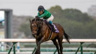 熊本産馬の歩みをたどる--熊本地震から10年の節目に