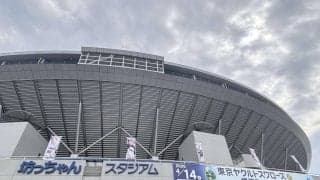 【ヤクルト】14日は愛媛・松山でDeNA戦、小学生の招待券は「愛媛県下の全校生徒に…」